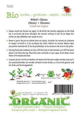 Biologische Witlof Middelvroeg zaden - achterkant