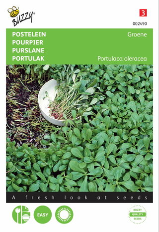 Groene Postelein zaden