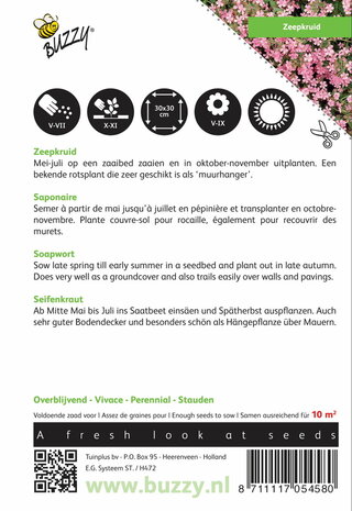 Roze Zeepkruid zaden - achterkant