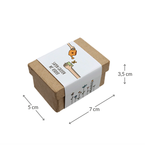 Samen groeien we verder - Zaadbommetjes in papier maché doosje