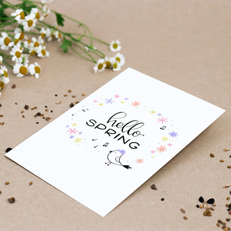 Sfeerfoto ansichtkaart 100 x 148 mm met de tekst ‘Hello spring’