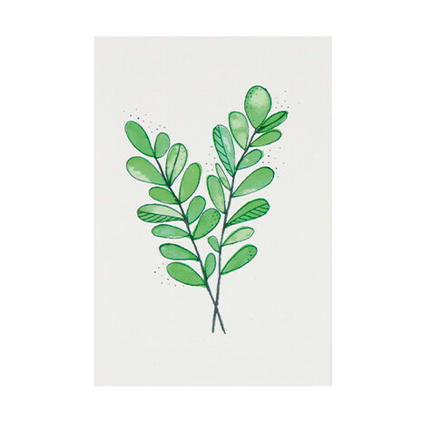 Ansichtkaart 100 x 148 mm met de tekst ‘Groen blad’
