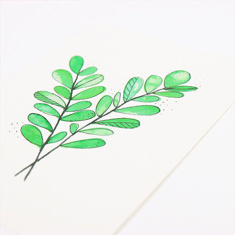 Sfeerfoto ansichtkaart 100 x 148 mm met de tekst ‘Groen blad’