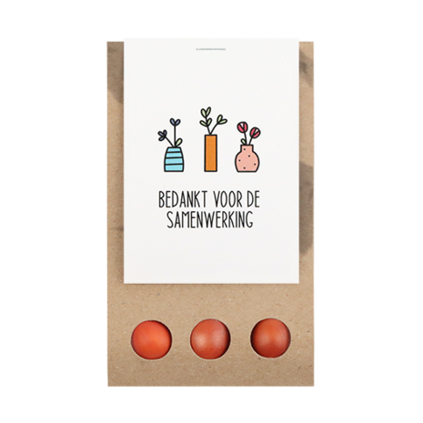 Bedankt voor de samenwerking - Bloembollen in buidel // Eef
