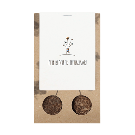 Een bloeiend nieuwjaar - Bloembollen in buidel // Eef