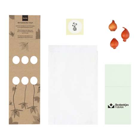 Een bloeiend nieuwjaar - Bloembollen in buidel // Eef