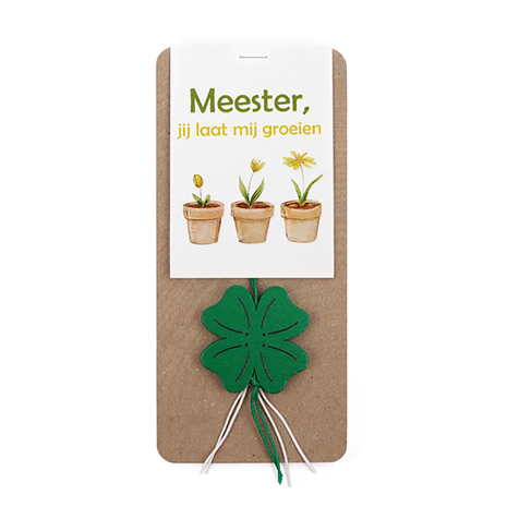 Meester, jij laat mij groeien - Hoofdfoto