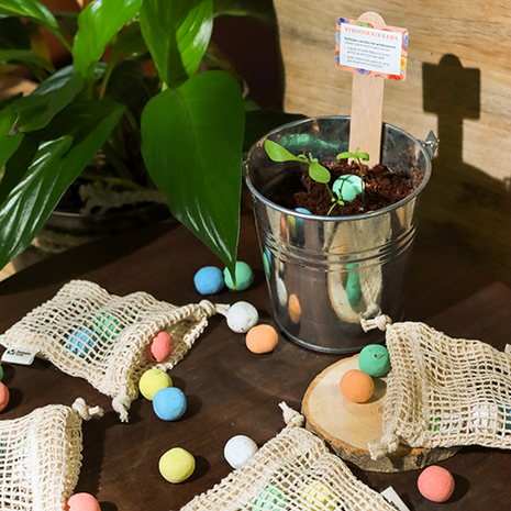 Zaadbommetjes in netzakje - Sfeerfoto