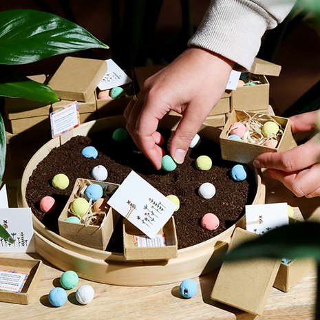 Zaadbommetjes in papier mach&eacute; doosje - Sfeerfoto