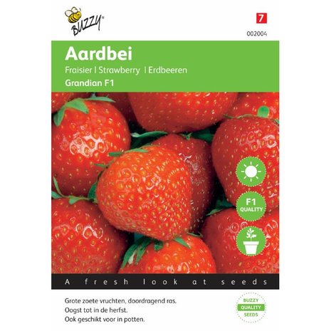 Aardbeien Sarian F1 Hybride zaden