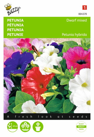 Petunia hybrida compacta (gemengd) zaden