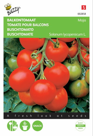 Tomaten Maja (Balkontomaat) zaden