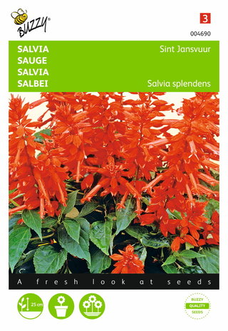 Salvia St. Jansvuur (rood) zaden