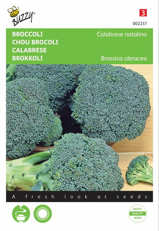 Broccoli Groene Calabria zaden 