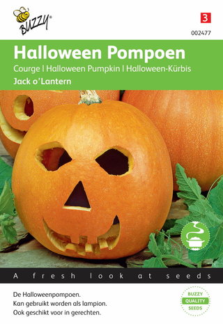 Pompoenen Jack O'Lantern (Cucub.Pepo) zaden