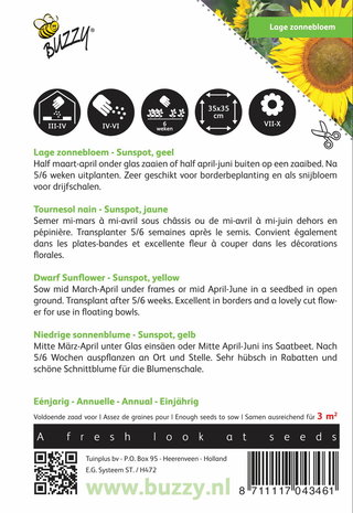 Zonnebloem Sunspot enkelbloemige Laag Geel zaden - achterkant