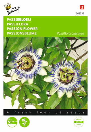 Passiebloem Passiflora zaden - voorkant