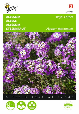 Alyssum Royal Carpet zaden - voorkant