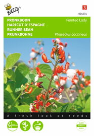 Pronkboon Painted Lady Phaseolus zaden