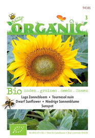 Biologische Zonnebloem type Sunspot