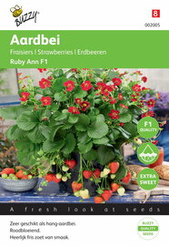 Hang Aardbei Ruby Ann F1