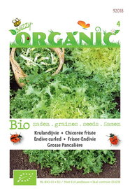 Biologische Krulandijvie Pancalière