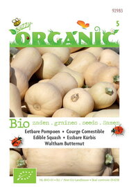 Biologische Winter Squash Waltham Butternut