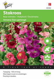 Antwerp Stars Stokroos mix Althaea Alcea zaden