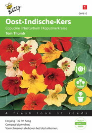 Oost-Indische Kers Tom Thumb (gemengd)