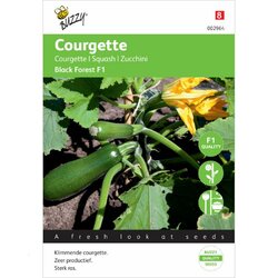 Klimcourgette Black Forest zaden F1 (klimmende courgette zaden)