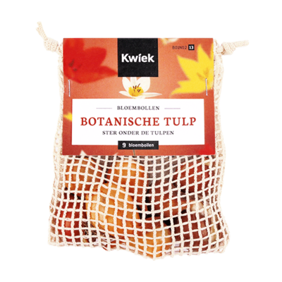 Netzakje met 9 botanische tulpen - Kwiek BloemBollen