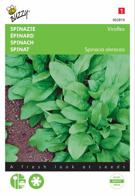 Spinazie Winterreuzen