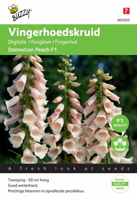 Vingerhoedskruid Dalmation F1 Peach