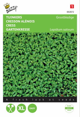 Grootbladige Tuinkers