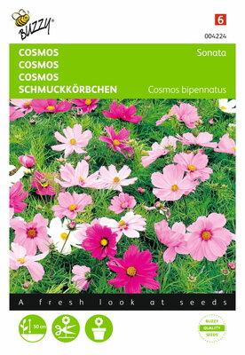 Cosmos Sonata (gemengd)