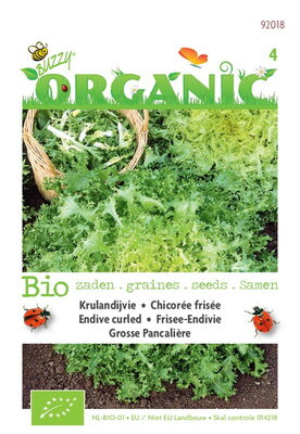 Biologische Krulandijvie Pancalière