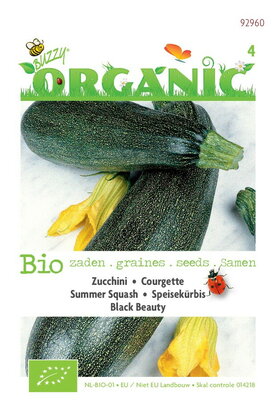 Biologische Courgette Black Beauty 