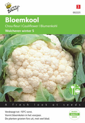 Bloemkool Walcheren Winter