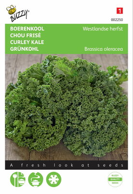 Boerenkool Westlandse Herfst