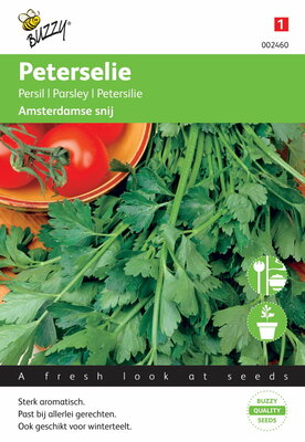 Amsterdamse Snij Peterselie zaden