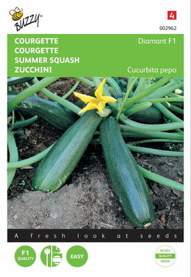 Courgette (Zucchini) Diamant F1