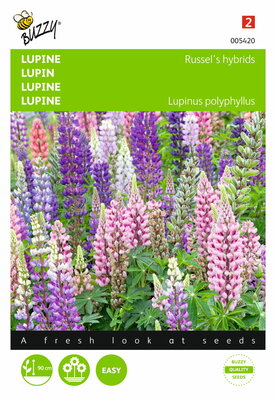 Lupinus Russell's Hybriden (gemengd)