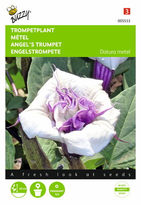 Witte Trompetplant Datura Metel Zaden