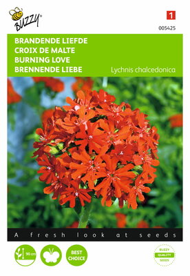 Brandende Liefde (Lychnis)