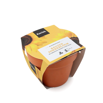 Reuzen zonnebloem zaden in terracotta potje - Kwiek PootPotje