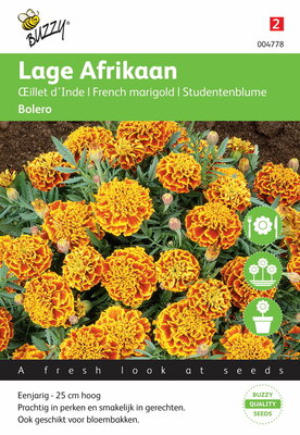 Lage Afrikaan Bolero