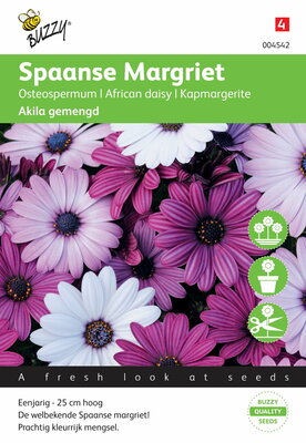 Spaanse Margriet Akila mix Osteospermum zaden