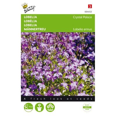 Lobelia Crystal Palace zaden