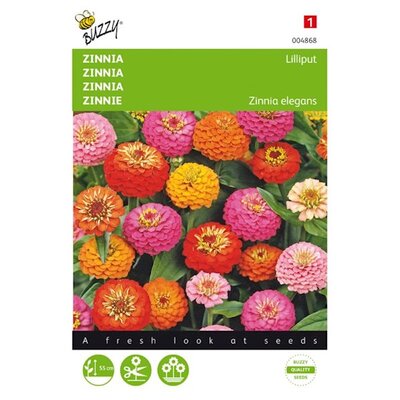 Zinnia Lilliput gemengde zaden