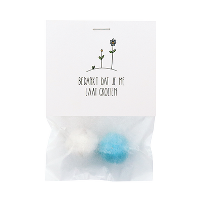 Bedankt dat je me laat groeien - Zaadbommetjes in pergamijn zakje met klapkaartje // Eef